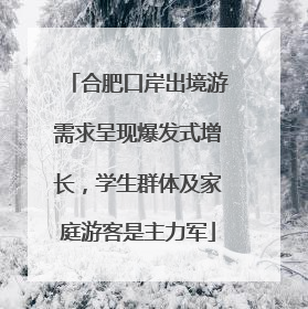 合肥口岸出境游需求呈现爆发式增长，学生群体及家庭游客是主力军
