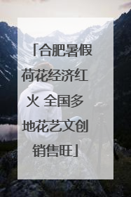 合肥暑假荷花经济红火 全国多地花艺文创销售旺