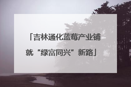 吉林通化蓝莓产业铺就“绿富同兴”新路