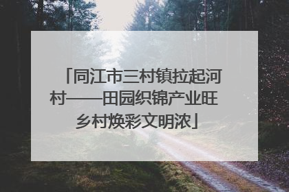 同江市三村镇拉起河村——田园织锦产业旺 乡村焕彩文明浓