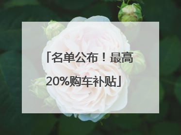 名单公布！最高20%购车补贴