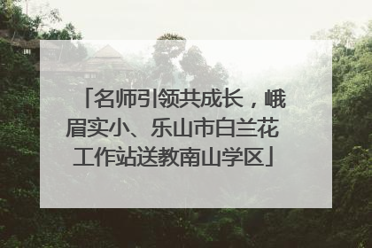 名师引领共成长，峨眉实小、乐山市白兰花工作站送教南山学区
