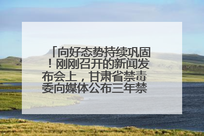 向好态势持续巩固！刚刚召开的新闻发布会上，甘肃省禁毒委向媒体公布三年禁毒工作“成绩单”