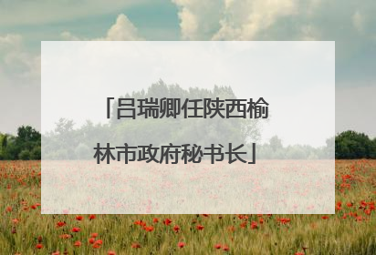 吕瑞卿任陕西榆林市政府秘书长