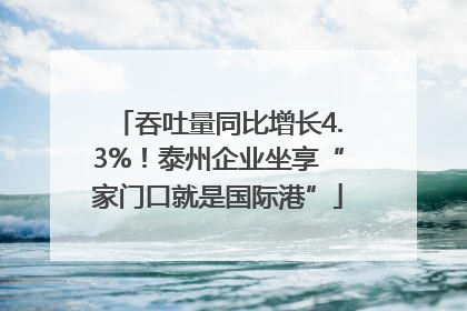 吞吐量同比增长4.3%！泰州企业坐享“家门口就是国际港”