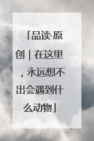 品读·原创｜在这里，永远想不出会遇到什么动物