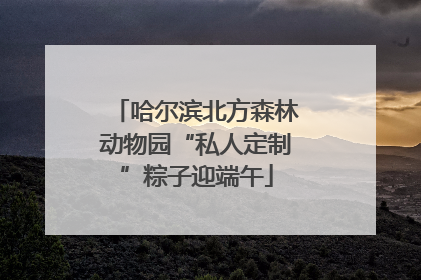 哈尔滨北方森林动物园“私人定制”粽子迎端午