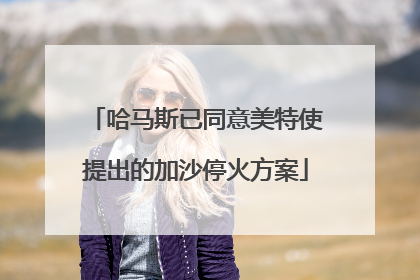 哈马斯已同意美特使提出的加沙停火方案