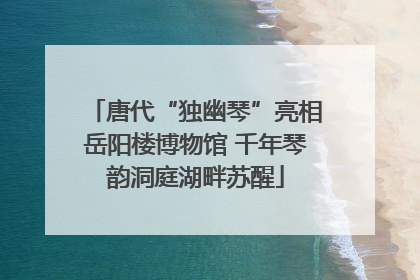 唐代“独幽琴”亮相岳阳楼博物馆 千年琴韵洞庭湖畔苏醒