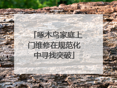啄木鸟家庭上门维修在规范化中寻找突破