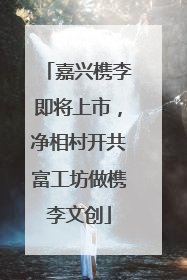 嘉兴槜李即将上市，净相村开共富工坊做槜李文创