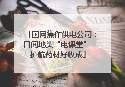 国网焦作供电公司：田间地头“电课堂” 护航药材好收成