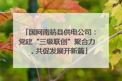 国网南靖县供电公司：党建“三级联创”聚合力，共促发展开新篇