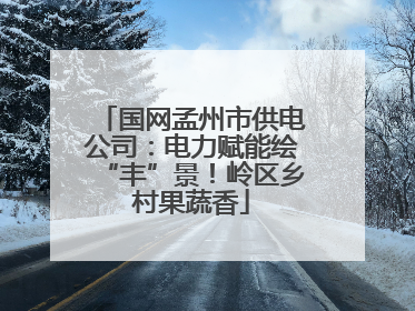 国网孟州市供电公司：电力赋能绘“丰”景！岭区乡村果蔬香
