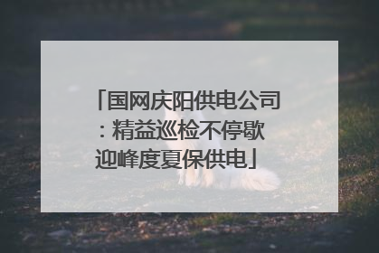 国网庆阳供电公司：精益巡检不停歇 迎峰度夏保供电