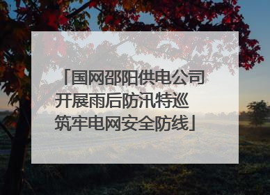 国网邵阳供电公司开展雨后防汛特巡 筑牢电网安全防线