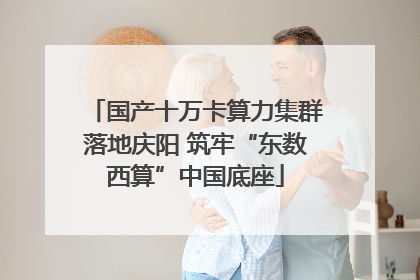 国产十万卡算力集群落地庆阳 筑牢“东数西算”中国底座