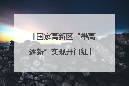 国家高新区“攀高逐新”实现开门红
