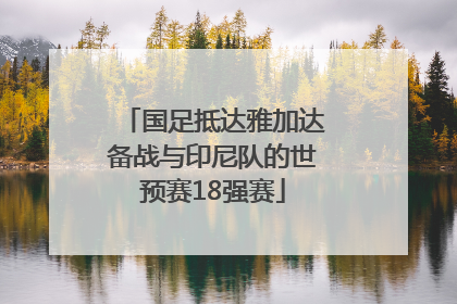 国足抵达雅加达备战与印尼队的世预赛18强赛