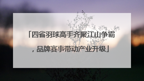 四省羽球高手齐聚江山争霸，品牌赛事带动产业升级