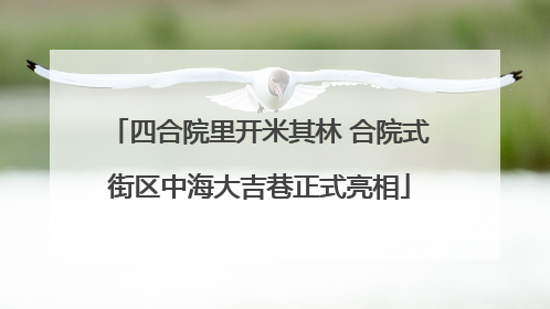 四合院里开米其林 合院式街区中海大吉巷正式亮相