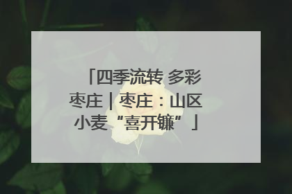 四季流转 多彩枣庄｜枣庄：山区小麦“喜开镰”