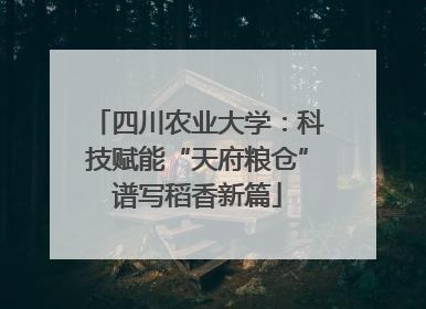 四川农业大学：科技赋能“天府粮仓”谱写稻香新篇