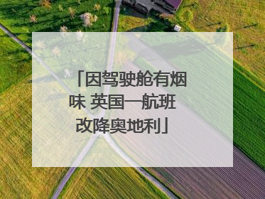 因驾驶舱有烟味 英国一航班改降奥地利