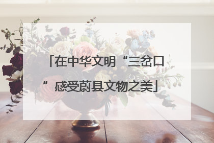 在中华文明“三岔口”感受蔚县文物之美