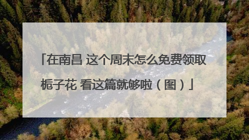 在南昌 这个周末怎么免费领取栀子花 看这篇就够啦（图）