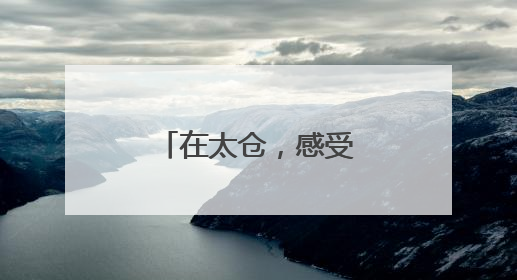 在太仓，感受非遗传承的“硬核浪漫”