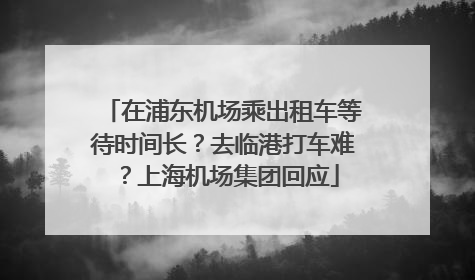 在浦东机场乘出租车等待时间长？去临港打车难？上海机场集团回应