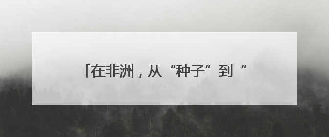在非洲，从“种子”到“杯子”的遥远距离——一颗咖啡豆的前世今生（三）
