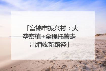 富锦市振兴村：大垄密植+全程托管走出增收新路径