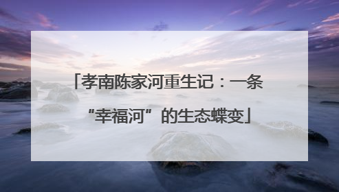 孝南陈家河重生记：一条“幸福河”的生态蝶变