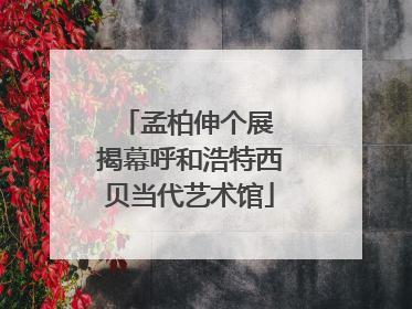 孟柏伸个展 揭幕呼和浩特西贝当代艺术馆