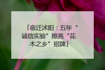 宿迁沭阳：五年“诚信实验”擦亮“花木之乡”招牌