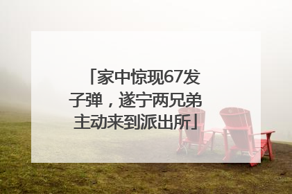 家中惊现67发子弹，遂宁两兄弟主动来到派出所