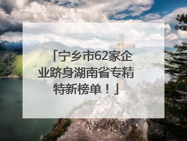 宁乡市62家企业跻身湖南省专精特新榜单！