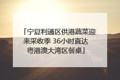 宁夏利通区供港蔬菜迎来采收季 36小时直达粤港澳大湾区餐桌