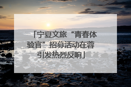 宁夏文旅“青春体验官”招募活动在蓉引发热烈反响