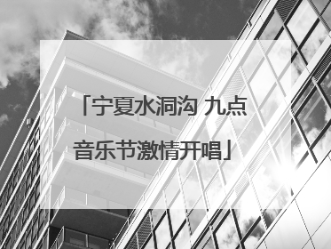 宁夏水洞沟 九点音乐节激情开唱