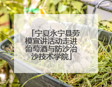 宁夏永宁县劳模宣讲活动走进葡萄酒与防沙治沙技术学院