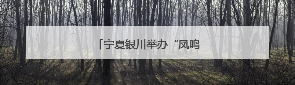 宁夏银川举办“凤鸣湖城”招才引智大会