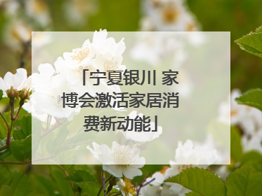 宁夏银川 家博会激活家居消费新动能