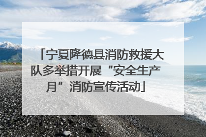 宁夏隆德县消防救援大队多举措开展“安全生产月”消防宣传活动