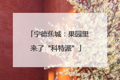 宁德蕉城：果园里来了“科特派”