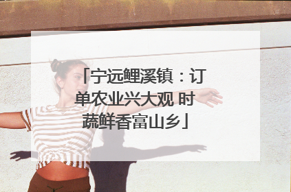宁远鲤溪镇：订单农业兴大观 时蔬鲜香富山乡