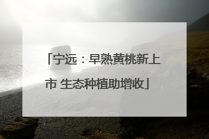 宁远：早熟黄桃新上市 生态种植助增收