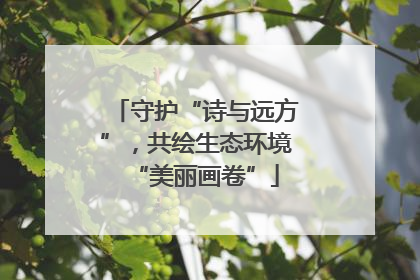 守护“诗与远方”，共绘生态环境“美丽画卷”